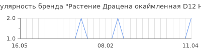Популярность растение драцена окаймленная d12 h35