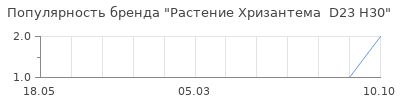 Популярность растение хризантема d23 h30
