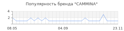 Популярность cammina