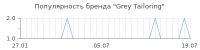 Популярность grey tailoring