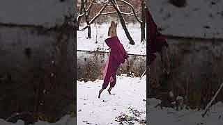 Оп! В комбинезон — и побежали ❄️🐾 Наша героиня видео максимально готова к снежным приключениям.
