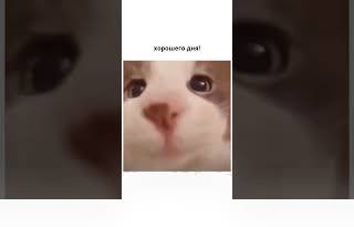 И напоминаем, что к новому году нужно купить музыкальные подарки
