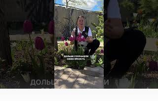 Не пропустите майские цветочные подкормки!