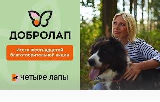 Добролап 2024: итоги 16-ой благотворительной акции