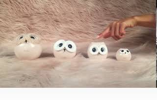 ALL YOU NEED IS OWL (PUPA) 9