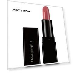 ILLAMASQUA Помада для губ ANTIMATTER