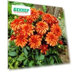 Георгина Геллери Арт Деко