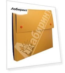Папка-конверт на кнопках DISCOVERY (255037-26)