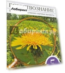 Естествознание. 5 класс. Тетрадь для оценки качества знаний. ВЕРТИКАЛЬ. ФГОС