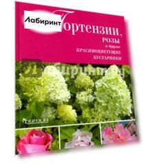 Гортензии, розы и другие красивоцветущие кустарники