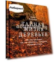 Тайная жизнь деревьев. Что они чувствуют, как они общаются - открытие сокровенного мира