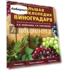 Большая энциклопедия виноградаря