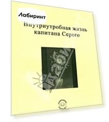 Внутриутробная жизнь капитана Серого. Медитативная повесть