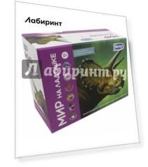 Мир на ладошке. Выпуск 5 (2033)