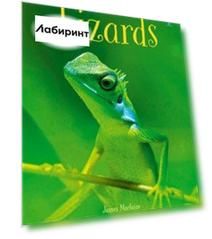 Lizards
