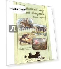 Животный мир Южной Америки. Яркие и юркие + 72 карточки для игры "Мемори" и викторины
