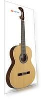 803-2 Classical Student 2C