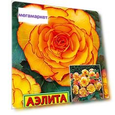 Семена бегония Аэлита Он Топ Солнечный свет F1 223181 1 уп.