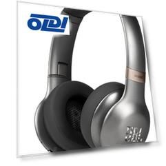 JBLV310GABTGML