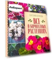 Все о комнатных растениях