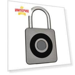 Умный замок Digma SmartLock C1 черный (навесной)