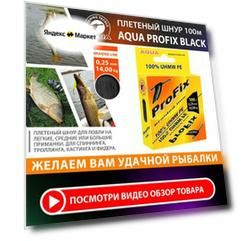 Плетеный шнур для рыбалки AQUA ProFix 100m 0.25mm 14.00kg черный