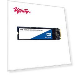 Твердотельный накопитель SSD WD