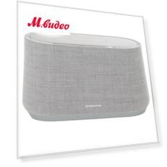 Harman/Kardon Citation 300 Gray
