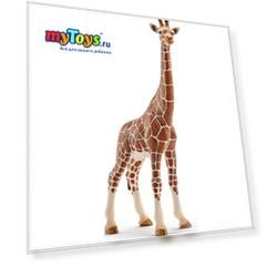 Коллекционная фигурка Schleich "Дикие животные" Жираф, самка