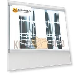 Негатоскоп общего назначения Armed 2-кадровый флуоресцентный