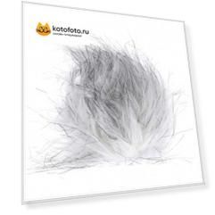 Ветрозащита для микрофонов Boya BY-B01 Deadkitten (подходит для большинства микрофонов) Boya BY-VM01, BY-V03, BY-VM300PS,BY-PVM50 Ветрозащита для микрофонов Boya BY-B01 Deadkitten (подходит для большинства микрофонов) Boya BY-VM01, BY-V03, BY-VM300PS,BY-PVM50