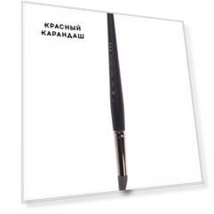 Кисть каучук Ferrario плоская №10