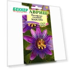 Пассифлора съедобная Маэстро Гавриш