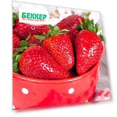 Земляника (крупноплодная) Гигантский деликатес