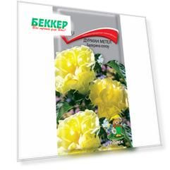 Дурман метел Балерина Еллоу Поиск