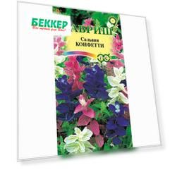 Сальвия Конфетти, смесь окрасок Гавриш