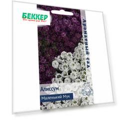 Алиссум Маленький Мук Поиск