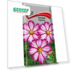 Космея Карусель Поиск