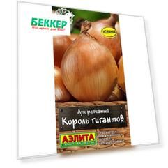 Лук репчатый Король гигантов Аэлита