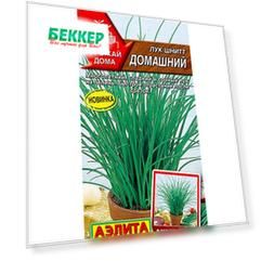 Лук шнитт Домашний Аэлита