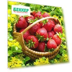 Земляника (крупноплодная) Гранд Роса