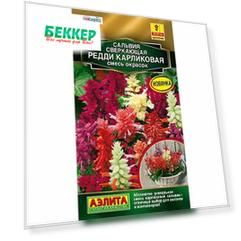 Сальвия карликовая Редди, смесь окрасок Аэлита