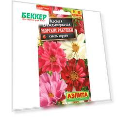 Космея Морские ракушки, смесь окрасок Аэлита