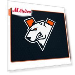 Virtus.pro Speed Edition M