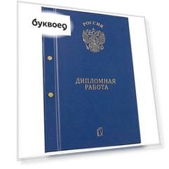 Папка Дипломная работа синяя с 2-мя отверстиями