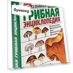 Большая грибная энциклопедия. Практическое руководство