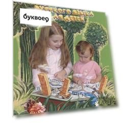 Картинный словарь русского языка для детей.