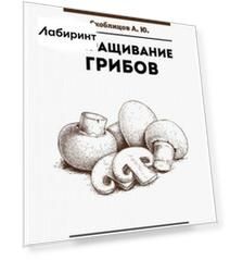 Выращивание грибов. Мини-бизнес с нуля