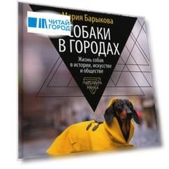 Собаки в городах