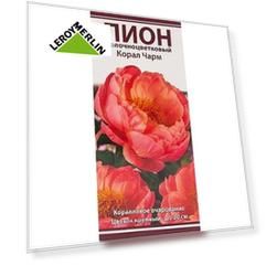 Пион молочноцветковый «Корал Чарм», размер луковицы I